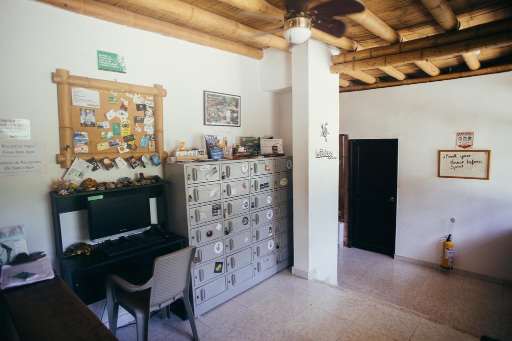 La Tortuga Hostel Таганга Екстериор снимка