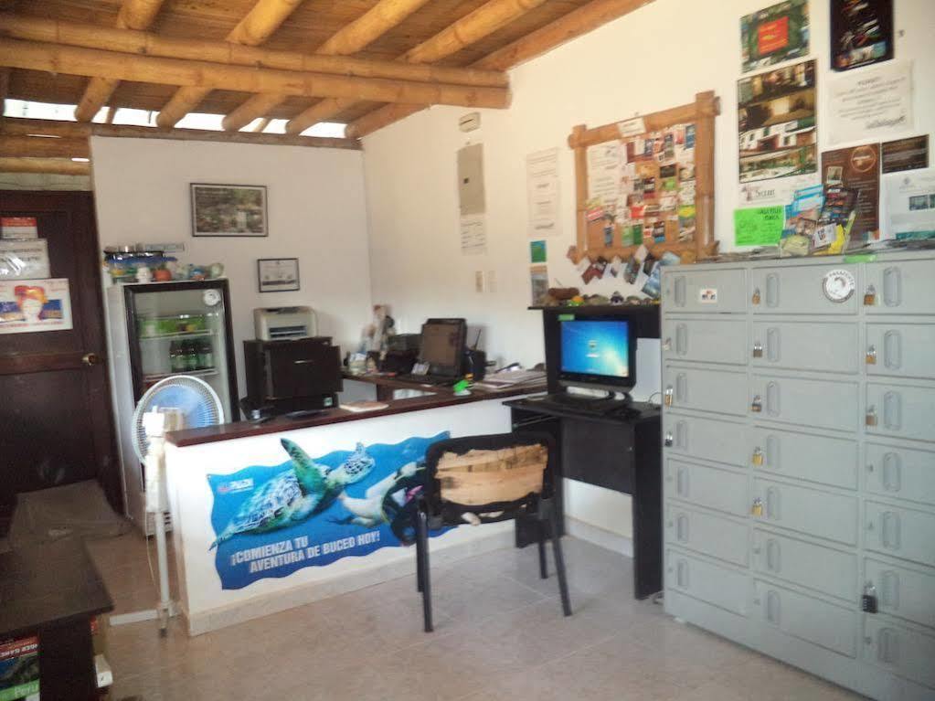 La Tortuga Hostel Таганга Екстериор снимка